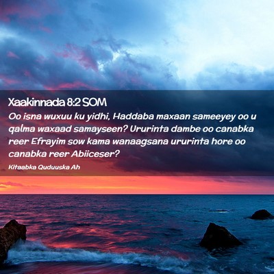 Picture 02 - Xaakinnada 8:2 SOM - Oo isna wuxuu ku yidhi, Haddaba maxaan sameeyey - Bible Verse Picture
