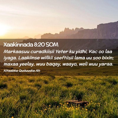 Picture 02 - Xaakinnada 8:20 SOM - Markaasuu curadkiisii Yeter ku yidhi, Kac oo laa - Bible Verse Picture