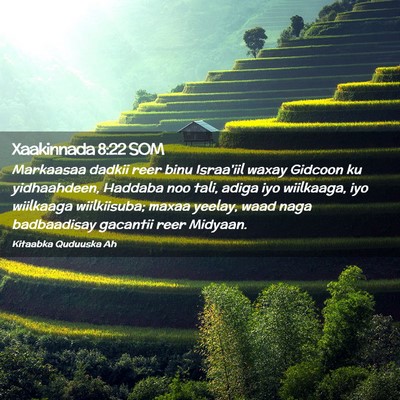 Picture 02 - Xaakinnada 8:22 SOM - Markaasaa dadkii reer binu Israa'iil waxay - Bible Verse Picture