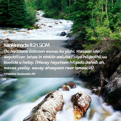 Picture 02 - Xaakinnada 8:24 SOM - Oo haddana Gidcoon wuxuu ku yidhi, Waxaan idin - Bible Verse Picture
