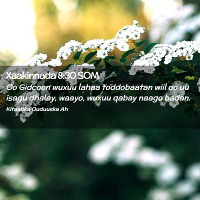 Picture 02 - Xaakinnada 8:30 SOM - Oo Gidcoon wuxuu lahaa toddobaatan wiil oo uu - Bible Verse Picture