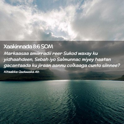 Picture 02 - Xaakinnada 8:6 SOM - Markaasaa amiirradii reer Sukod waxay ku - Bible Verse Picture