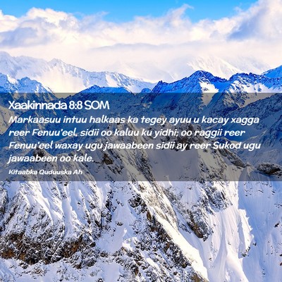 Picture 02 - Xaakinnada 8:8 SOM - Markaasuu intuu halkaas ka tegey ayuu u kacay - Bible Verse Picture