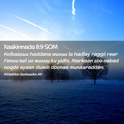 Picture 02 - Xaakinnada 8:9 SOM - Kolkaasuu haddana wuxuu la hadlay raggii reer - Bible Verse Picture