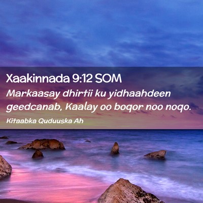 Picture 02 - Xaakinnada 9:12 SOM - Markaasay dhirtii ku yidhaahdeen geedcanab, - Bible Verse Picture