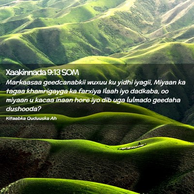 Picture 02 - Xaakinnada 9:13 SOM - Markaasaa geedcanabkii wuxuu ku yidhi iyagii, - Bible Verse Picture