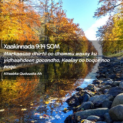 Picture 02 - Xaakinnada 9:14 SOM - Markaasaa dhirtii oo dhammu waxay ku yidhaahdeen - Bible Verse Picture