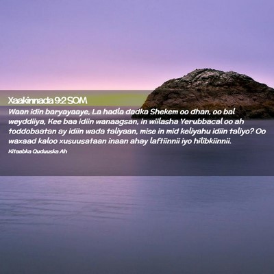 Picture 02 - Xaakinnada 9:2 SOM - Waan idin baryayaaye, La hadla dadka Shekem oo - Bible Verse Picture