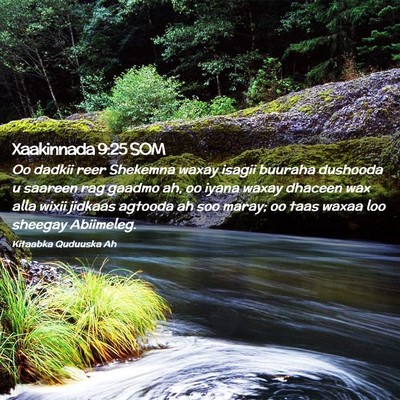 Picture 02 - Xaakinnada 9:25 SOM - Oo dadkii reer Shekemna waxay isagii buuraha - Bible Verse Picture