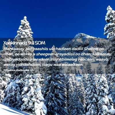 Picture 02 - Xaakinnada 9:3 SOM - Markaasay abtiyaashiis ula hadleen dadkii Shekem - Bible Verse Picture
