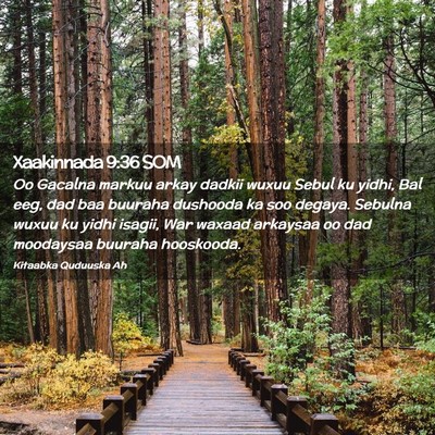 Picture 02 - Xaakinnada 9:36 SOM - Oo Gacalna markuu arkay dadkii wuxuu Sebul ku - Bible Verse Picture