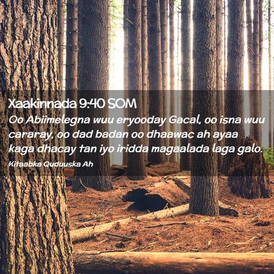 Picture 02 - Xaakinnada 9:40 SOM - Oo Abiimelegna wuu eryooday Gacal, oo isna wuu - Bible Verse Picture