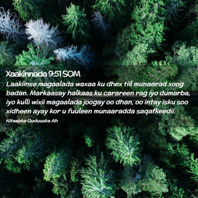 Picture 02 - Xaakinnada 9:51 SOM - Laakiinse magaalada waxaa ku dhex tiil munaarad - Bible Verse Picture