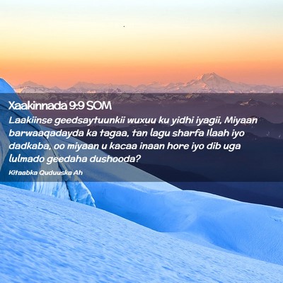 Picture 02 - Xaakinnada 9:9 SOM - Laakiinse geedsaytuunkii wuxuu ku yidhi iyagii, - Bible Verse Picture