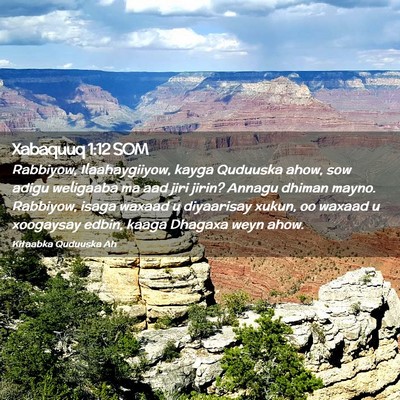 Picture 02 - Xabaquuq 1:12 SOM - Rabbiyow, Ilaahaygiiyow, kayga Quduuska ahow, sow - Bible Verse Picture