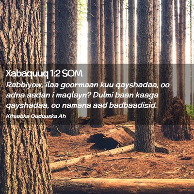 Picture 02 - Xabaquuq 1:2 SOM - Rabbiyow, ilaa goormaan kuu qayshadaa, oo adna - Bible Verse Picture
