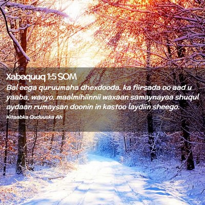 Picture 02 - Xabaquuq 1:5 SOM - Bal eega quruumaha dhexdooda, ka fiirsada oo aad - Bible Verse Picture