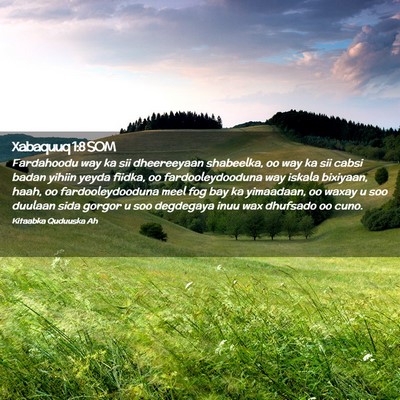 Picture 02 - Xabaquuq 1:8 SOM - Fardahoodu way ka sii dheereeyaan shabeelka, oo - Bible Verse Picture