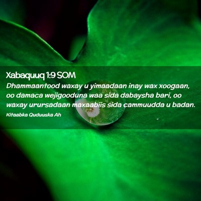 Picture 02 - Xabaquuq 1:9 SOM - Dhammaantood waxay u yimaadaan inay wax xoogaan, - Bible Verse Picture