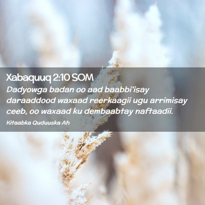 Picture 02 - Xabaquuq 2:10 SOM - Dadyowga badan oo aad baabbi'isay daraaddood - Bible Verse Picture