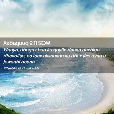 Picture 02 - Xabaquuq 2:11 SOM - Waayo, dhagax baa ka qaylin doona derbiga - Bible Verse Picture