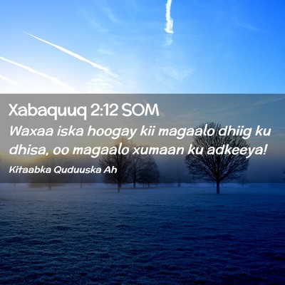 Picture 02 - Xabaquuq 2:12 SOM - Waxaa iska hoogay kii magaalo dhiig ku dhisa, oo - Bible Verse Picture