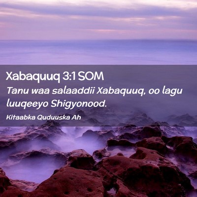 Picture 02 - Xabaquuq 3:1 SOM - Tanu waa salaaddii Xabaquuq, oo lagu luuqeeyo - Bible Verse Picture