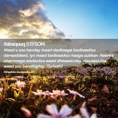 Picture 02 - Xabaquuq 3:13 SOM - Waad u soo baxday inaad dadkaaga badbaadiso - Bible Verse Picture