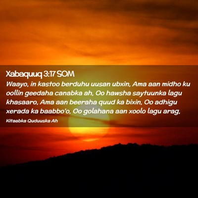 Picture 02 - Xabaquuq 3:17 SOM - Waayo, in kastoo berduhu uusan ubxin, Ama aan - Bible Verse Picture