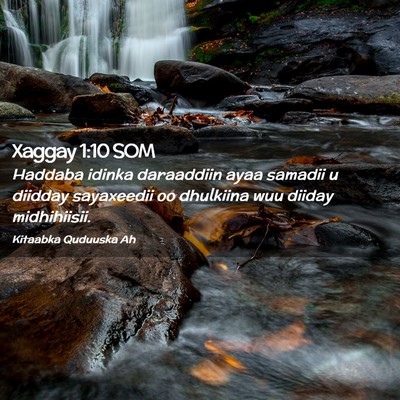 Picture 02 - Xaggay 1:10 SOM - Haddaba idinka daraaddiin ayaa samadii u diidday - Bible Verse Picture