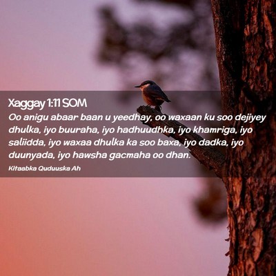 Picture 02 - Xaggay 1:11 SOM - Oo anigu abaar baan u yeedhay, oo waxaan ku soo - Bible Verse Picture