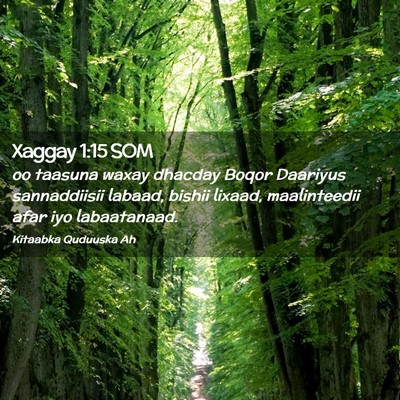 Picture 02 - Xaggay 1:15 SOM - oo taasuna waxay dhacday Boqor Daariyus - Bible Verse Picture