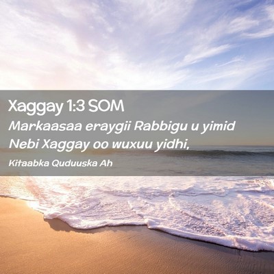 Picture 02 - Xaggay 1:3 SOM - Markaasaa eraygii Rabbigu u yimid Nebi Xaggay oo - Bible Verse Picture
