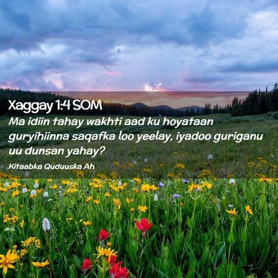 Picture 02 - Xaggay 1:4 SOM - Ma idiin tahay wakhti aad ku hoyataan guryihiinna - Bible Verse Picture