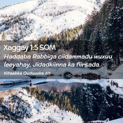 Picture 02 - Xaggay 1:5 SOM - Haddaba Rabbiga ciidammadu wuxuu leeyahay, - Bible Verse Picture