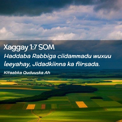 Picture 02 - Xaggay 1:7 SOM - Haddaba Rabbiga ciidammadu wuxuu leeyahay, - Bible Verse Picture