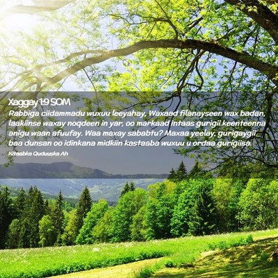 Picture 02 - Xaggay 1:9 SOM - Rabbiga ciidammadu wuxuu leeyahay, Waxaad - Bible Verse Picture