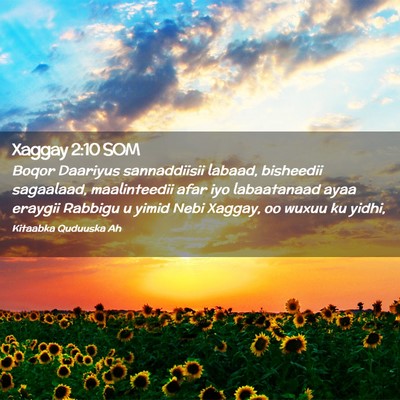 Picture 02 - Xaggay 2:10 SOM - Boqor Daariyus sannaddiisii labaad, bisheedii - Bible Verse Picture