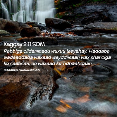 Picture 02 - Xaggay 2:11 SOM - Rabbiga ciidammadu wuxuu leeyahay, Haddaba - Bible Verse Picture