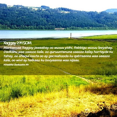 Picture 02 - Xaggay 2:14 SOM - Markaasaa Xaggay jawaabay oo wuxuu yidhi, Rabbigu - Bible Verse Picture