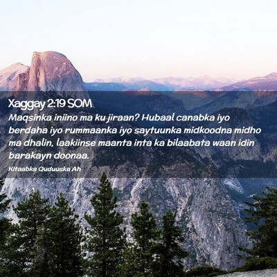 Picture 02 - Xaggay 2:19 SOM - Maqsinka iniino ma ku jiraan? Hubaal canabka iyo - Bible Verse Picture