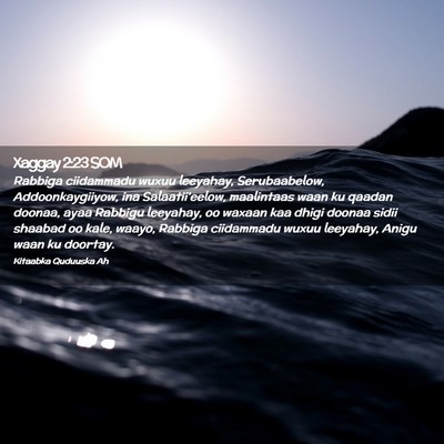 Picture 02 - Xaggay 2:23 SOM - Rabbiga ciidammadu wuxuu leeyahay, Serubaabelow, - Bible Verse Picture