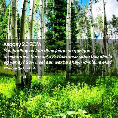 Picture 02 - Xaggay 2:3 SOM - Yaa hadhay oo idin dhex jooga oo gurigan - Bible Verse Picture