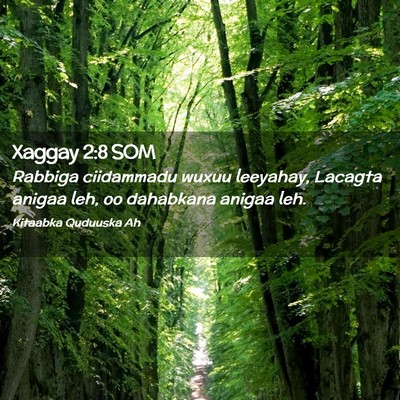 Picture 02 - Xaggay 2:8 SOM - Rabbiga ciidammadu wuxuu leeyahay, Lacagta anigaa - Bible Verse Picture