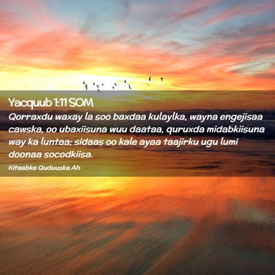 Picture 02 - Yacquub 1:11 SOM - Qorraxdu waxay la soo baxdaa kulaylka, wayna - Bible Verse Picture