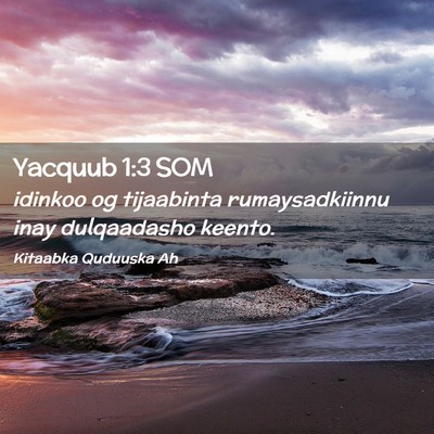 Picture 02 - Yacquub 1:3 SOM - idinkoo og tijaabinta rumaysadkiinnu inay - Bible Verse Picture
