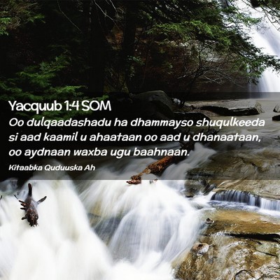 Picture 02 - Yacquub 1:4 SOM - Oo dulqaadashadu ha dhammayso shuqulkeeda si aad - Bible Verse Picture