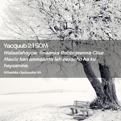 Picture 02 - Yacquub 2:1 SOM - Walaalahayow, iimaanka Rabbigeenna Ciise Masiix - Bible Verse Picture