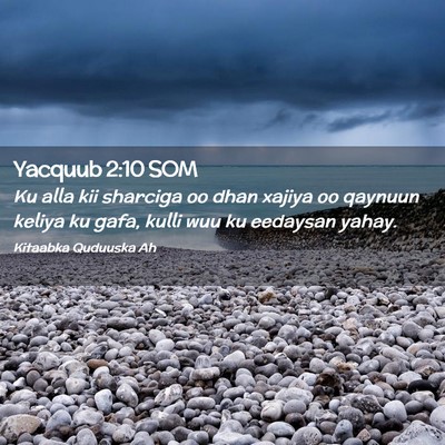 Picture 02 - Yacquub 2:10 SOM - Ku alla kii sharciga oo dhan xajiya oo qaynuun - Bible Verse Picture