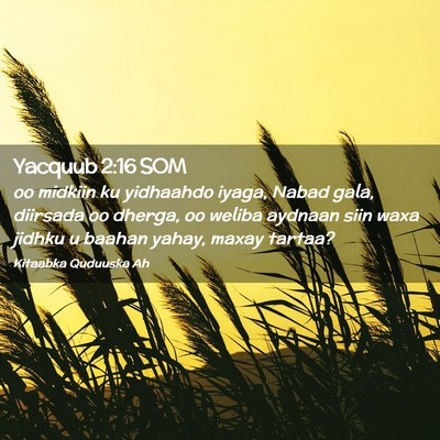 Picture 02 - Yacquub 2:16 SOM - oo midkiin ku yidhaahdo iyaga, Nabad gala, - Bible Verse Picture